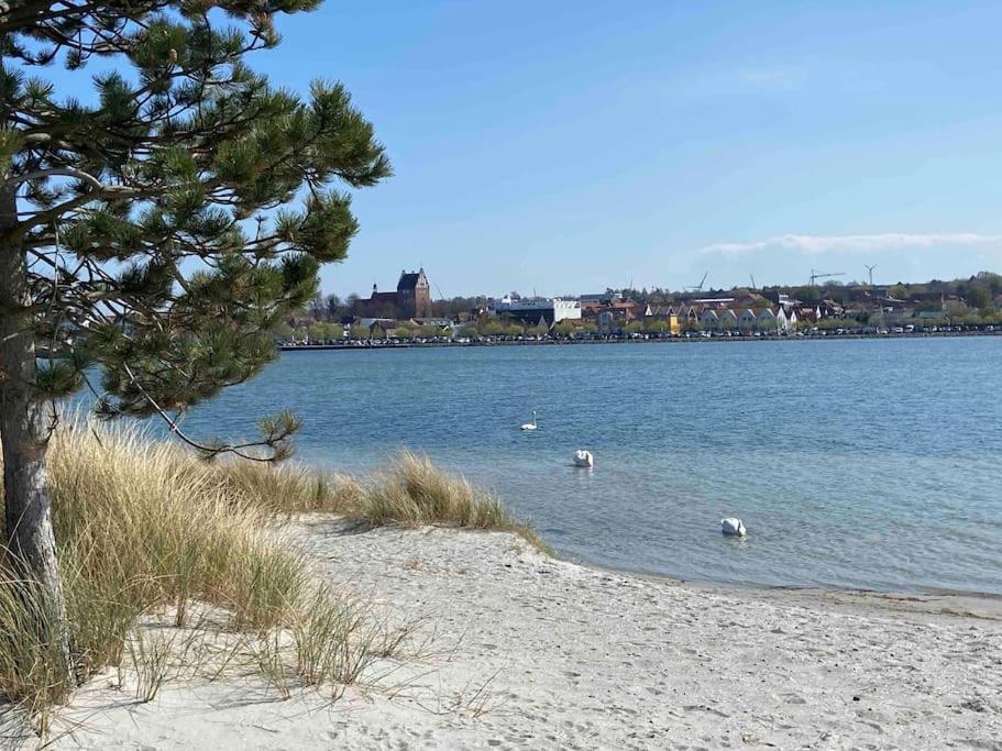 Appartement Seaview, Beach, Sunsets, Nature