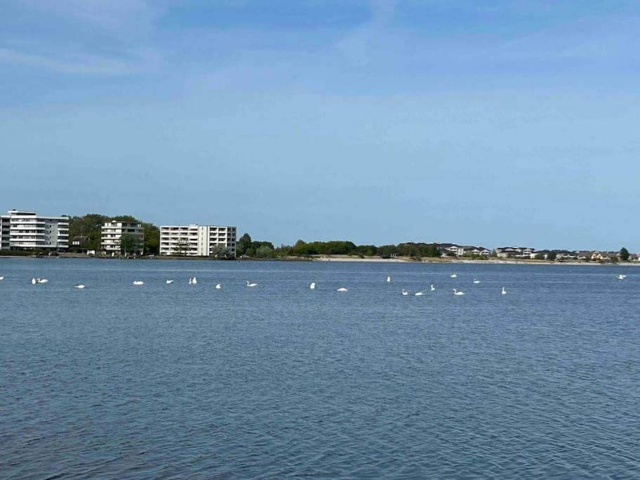 Apartment Seaview, Beach, Sunsets, Nature